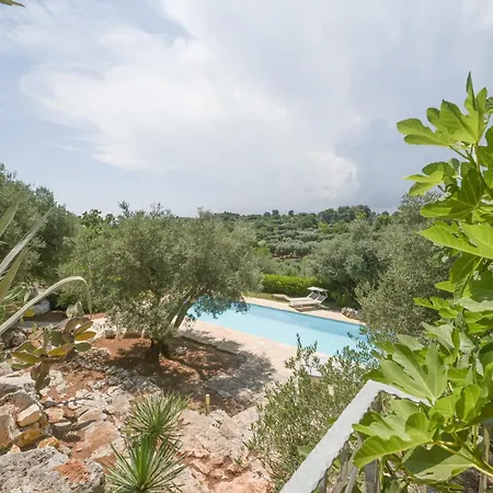 Trullo Agapanthus With Panoramic *